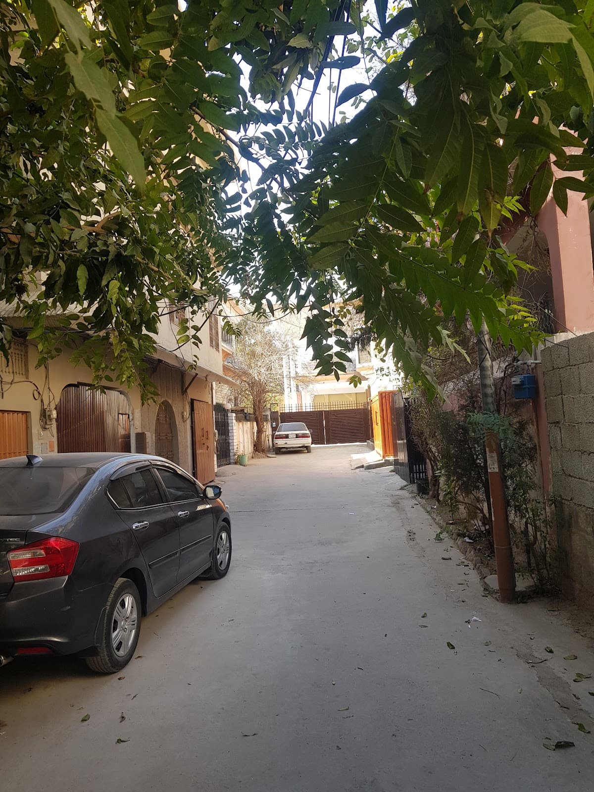 A-Paragon Girls Hostel(1) photo